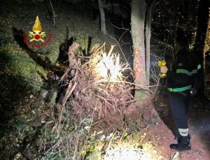 Travolto da un grosso ceppo, muore boscaiolo 59enne