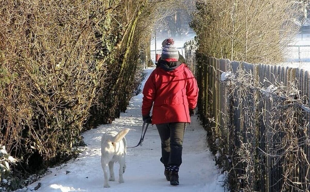 Boschi a Natale: camminate tra splendidi paesaggi e bellezze naturalistiche