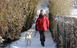 Boschi a Natale: camminate tra splendidi paesaggi e bellezze naturalistiche