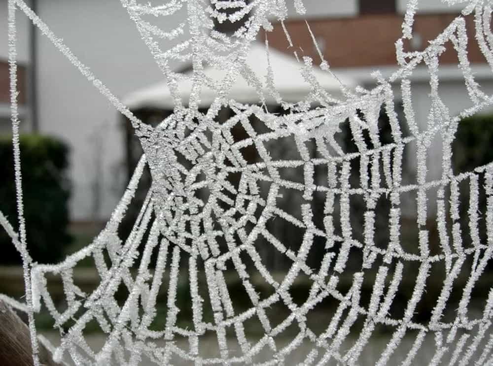 Weekend senza pioggia ma temperature in calo: le previsioni