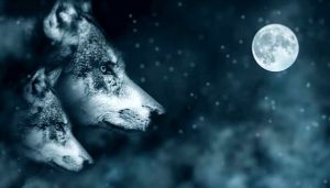 Arriva la Luna piena del Lupo: riti e significato