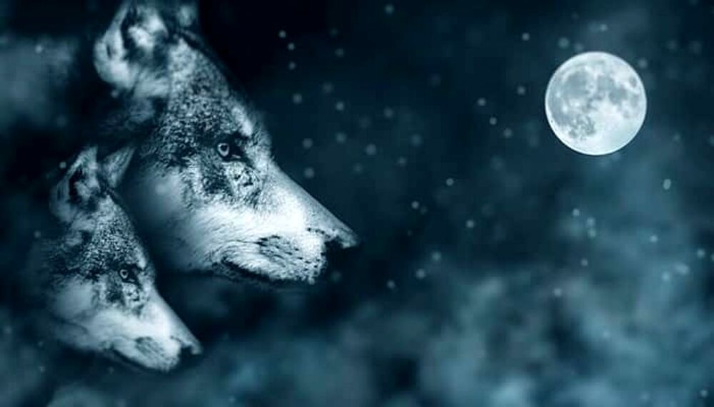 Arriva la Luna piena del Lupo: riti e significato