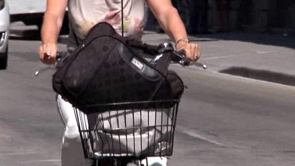 Rubano la borsa dal cestino della bici, presi i due responsabili