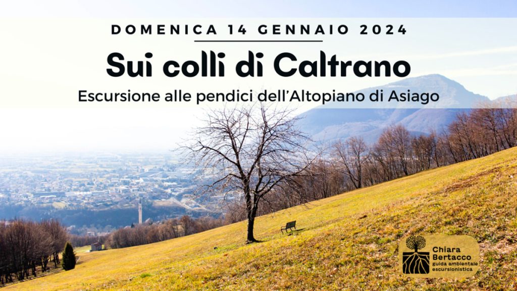 Sui colli di Caltrano: escursione alle pendici dell'altopiano di Asiago