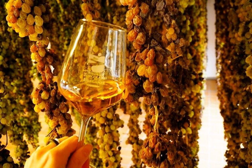 "Prima" del Torcolato a Breganze, una festa con brindisi e tour del fruttaio