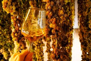"Prima" del Torcolato a Breganze, una festa con brindisi e tour del fruttaio