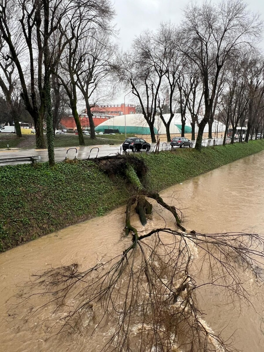 Maltempo, mercoledì scuole chiuse: stop a tre linee ferroviarie tra Vicenza e Padova