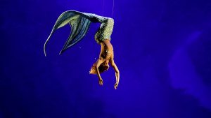 Un grande spettacolo acrobatico per il rilancio internazionale del Teatro Goldoni
