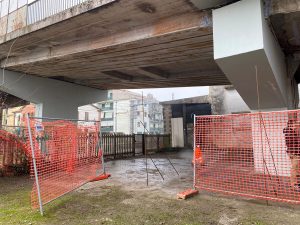 Nuovo intervento di pulizia dell'area sotto al cavalcavia Ferreto de Ferreti