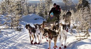 Escursione e sleddog sulla neve