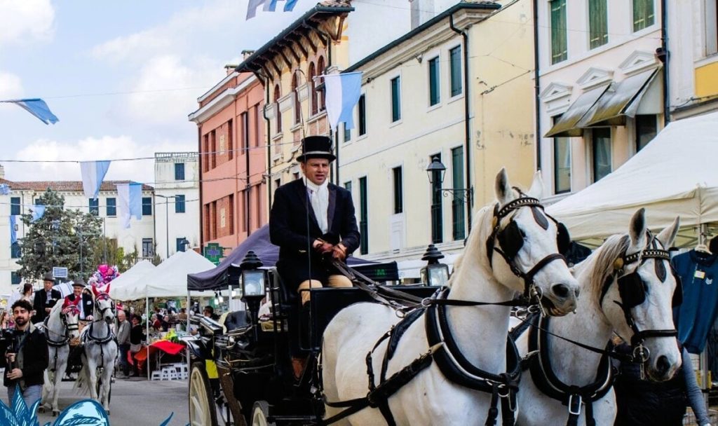 Fiera di Lonigo: piante e fiori, artigianato, specialità gastronomiche, mercato