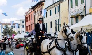 Fiera di Lonigo: piante e fiori, artigianato, specialità gastronomiche, mercato