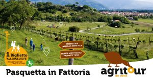 Pasquetta in Fattoria: pranzo, passeggiate, visite guidate e concerto finale