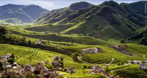 Giornata dei Colli Veneti: 50 eventi nel vicentino