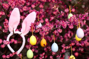 L’albero di Pasqua nelle case degli italiani: spunti creativi per addobbarlo