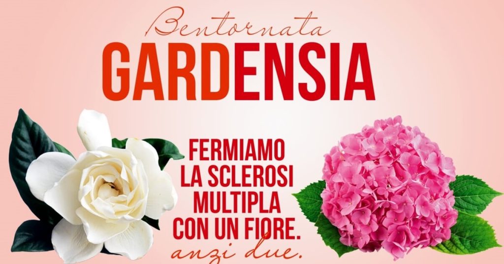Gardenie e ortensie a sostegno della ricerca, ecco dove trovarle nel vicentino