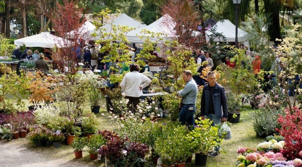Di Rara Pianta, mostra mercato di fiori e piante antiche