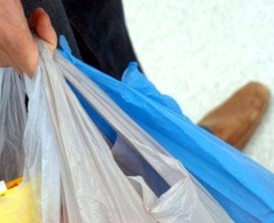 Entra al bar con una busta della spesa ma all'interno ci sono tre cuccioli: denunciato