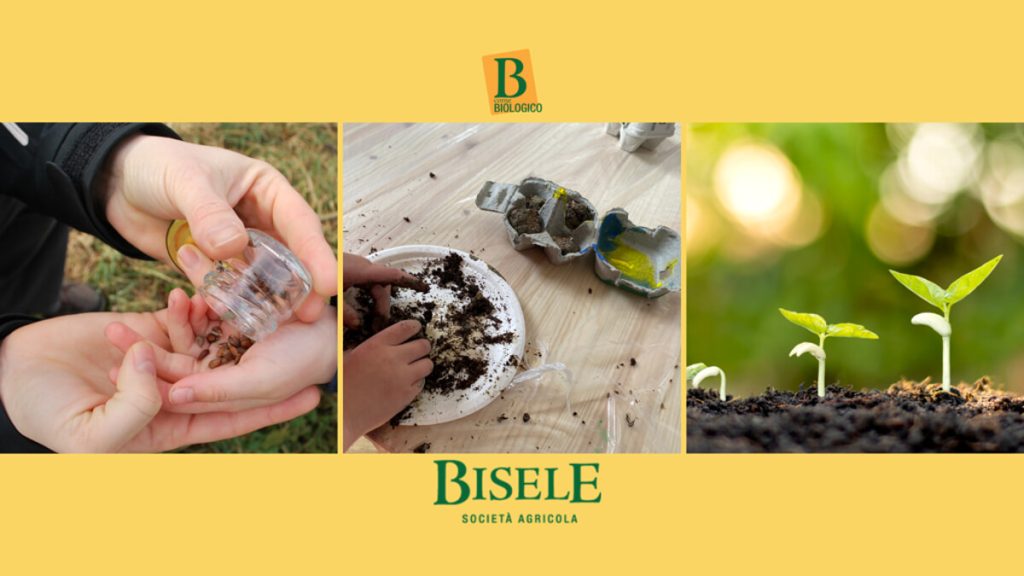 Un orticello per amico alla biofattoria Bisele | 3-6 anni