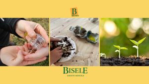 Un orticello per amico alla biofattoria Bisele | 3-6 anni