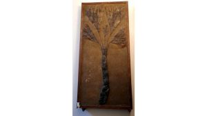 Dona una palma fossile al Museo Naturalistico Archeologico per tenere viva la memoria del marito