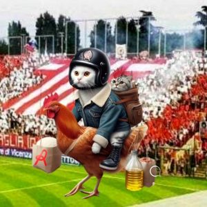 Vecchi: domani incontreremo una signora squadra