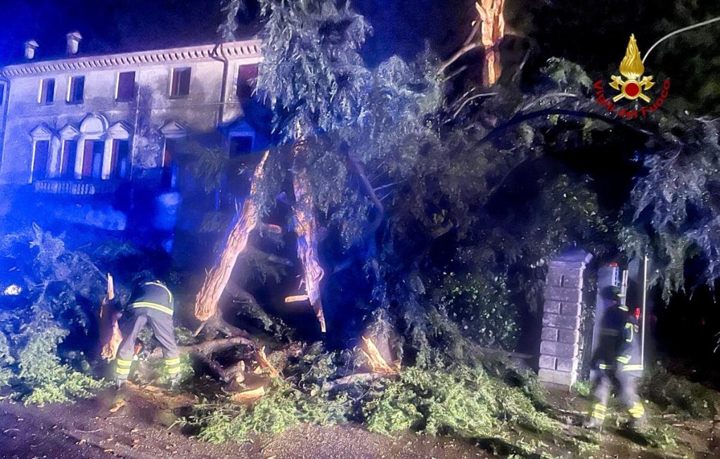 Fulmine squarcia un albero di oltre 20 metri: nessuna persona coinvolta