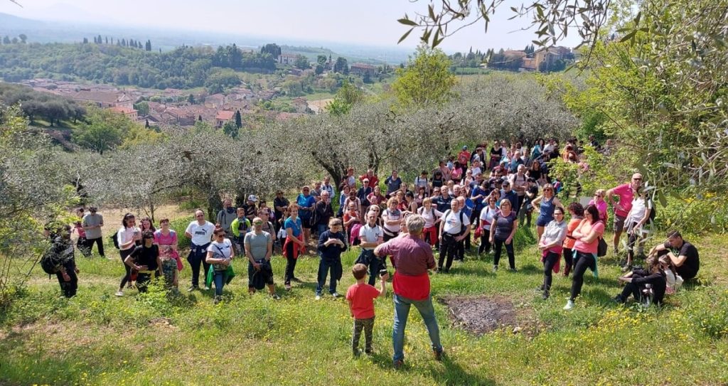 Colli Berici tour, l'Anello di Villabalzana