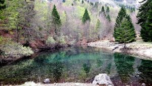 1 Maggio: Sentiero dei Grandi Alberi e Sea del Risso