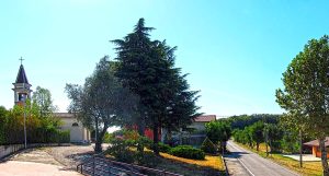Sagra dei Bernuffi, stand gastronomico con cucina tipica, enoteca