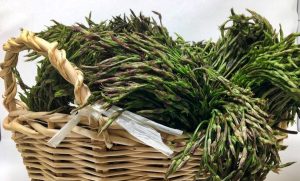 Bruscandoli: perchè fanno bene, ricette