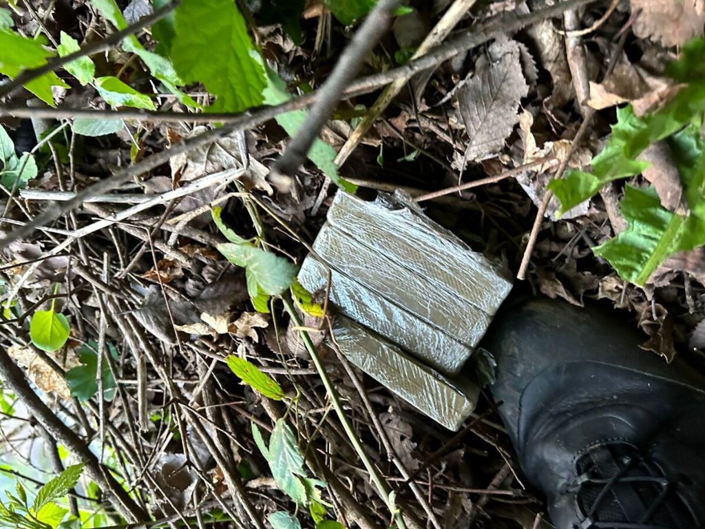 Mezzo chilo di hashish nascosto nella boscaglia, arrestato 22enne