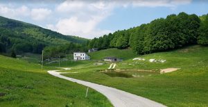 Asta pubblica per la malga Valpozzol