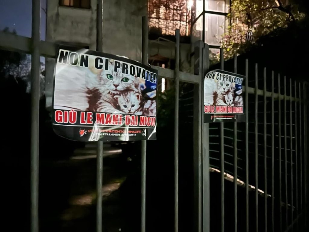 Colonia felina "minacciata" dai residenti: intervento notturno di Centopercentoanimalisti
