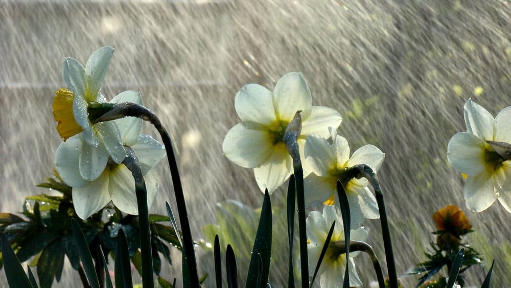 Meteo Veneto, perturbazione in avvicinamento da martedì