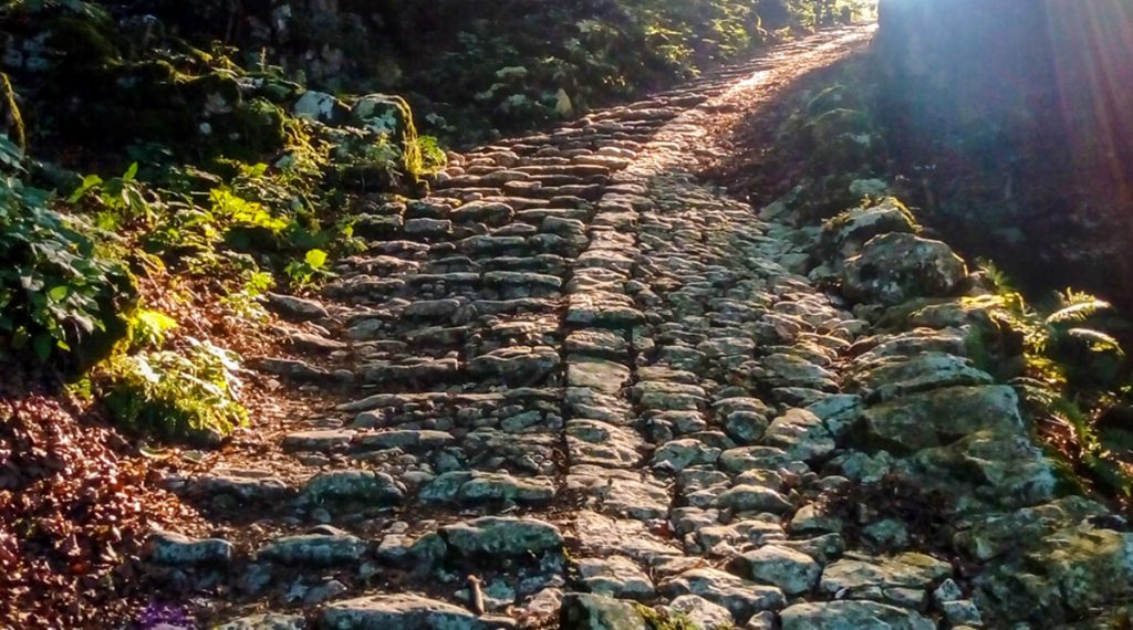 Escursione guidata a Calà del Sasso, lungo i 4444 gradini e percorso ad anello