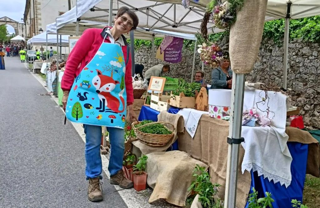 Andar per erbe spontanee in Val Liona: passeggiate, rassegna gastronomica, mostra