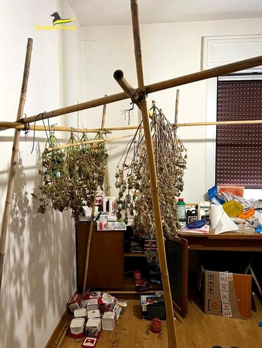 Coltivazione di marijuana home made: denunciato un 43enne