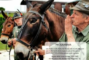 "Grazie mulo amico mio..." evento dedicato ai muli, fedeli compagni degli Alpini