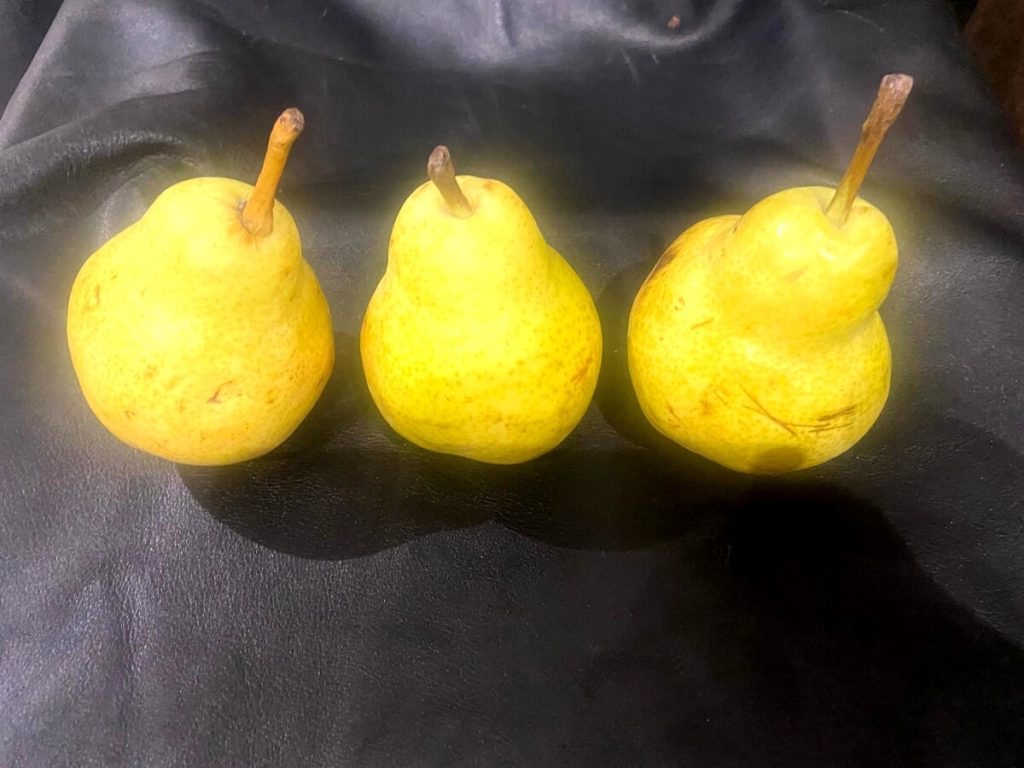 Altro che Remuntada, Padova ancora KO