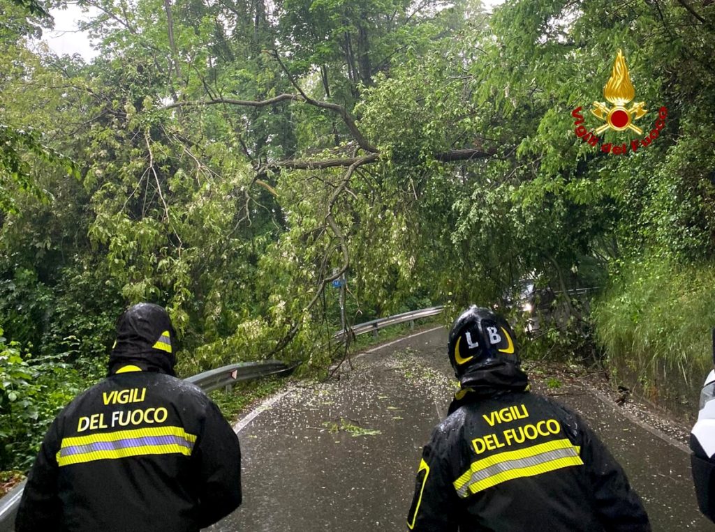 Maltempo, alberi sradicati bloccano la strada
