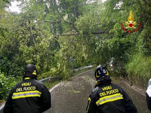 Maltempo, alberi sradicati bloccano la strada
