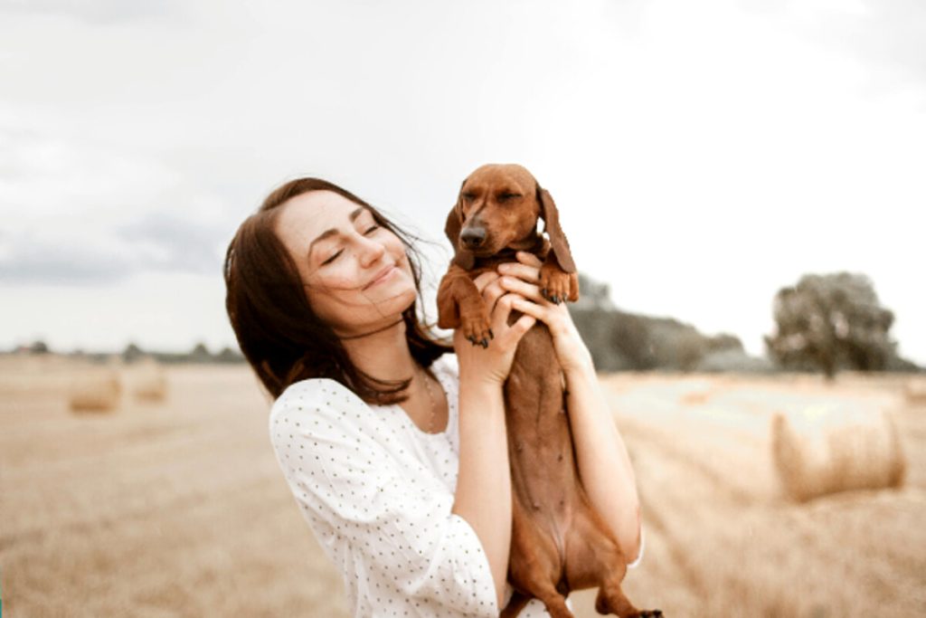 Come capire l'incrocio del tuo cane?