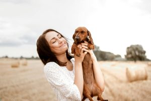 Come capire l'incrocio del tuo cane?