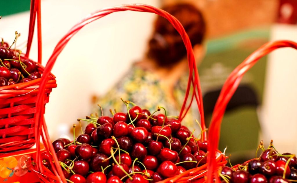 Cosa fare a Vicenza e provincia questo weekend, tra sagre, passeggiate, mostre