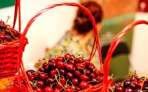 Cosa fare a Vicenza e provincia questo weekend, tra sagre, passeggiate, mostre