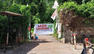 "Salviamo il bosco Lanerossi"": la petizione online supera le 600 firme