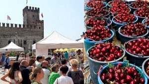 Regina rossa: Festa della ciliegia di Marostica