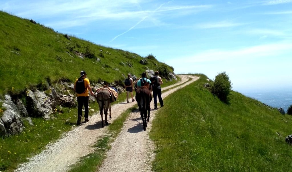 Trekking con gli asini a Treschè Conca