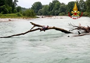 Ragazzi travolti dalla corrente del Brenta, recuperati dai Vigili del fuoco